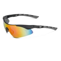 XLC SG-C09 Komodo sunglasses (black / grey)